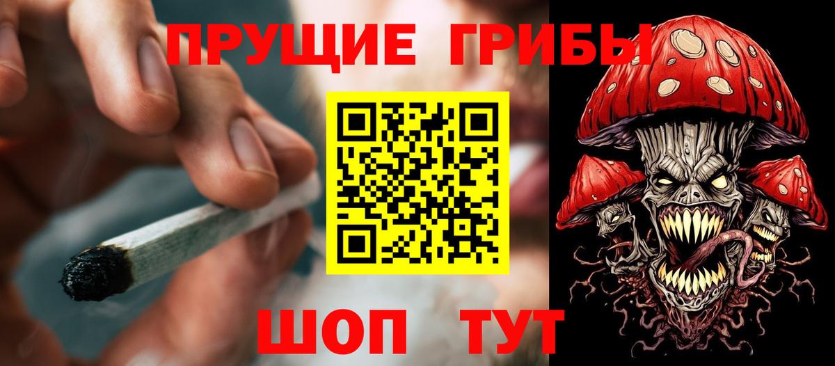 Псилоцибиновые грибы Magic Shrooms Нурлат