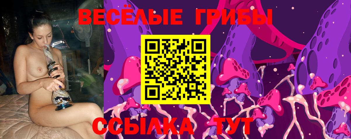 Галлюциногенные грибы Psilocybe  продажа наркотиков  Нурлат  Псилоцибиновые грибы Psilocybe  Вход с VPN 